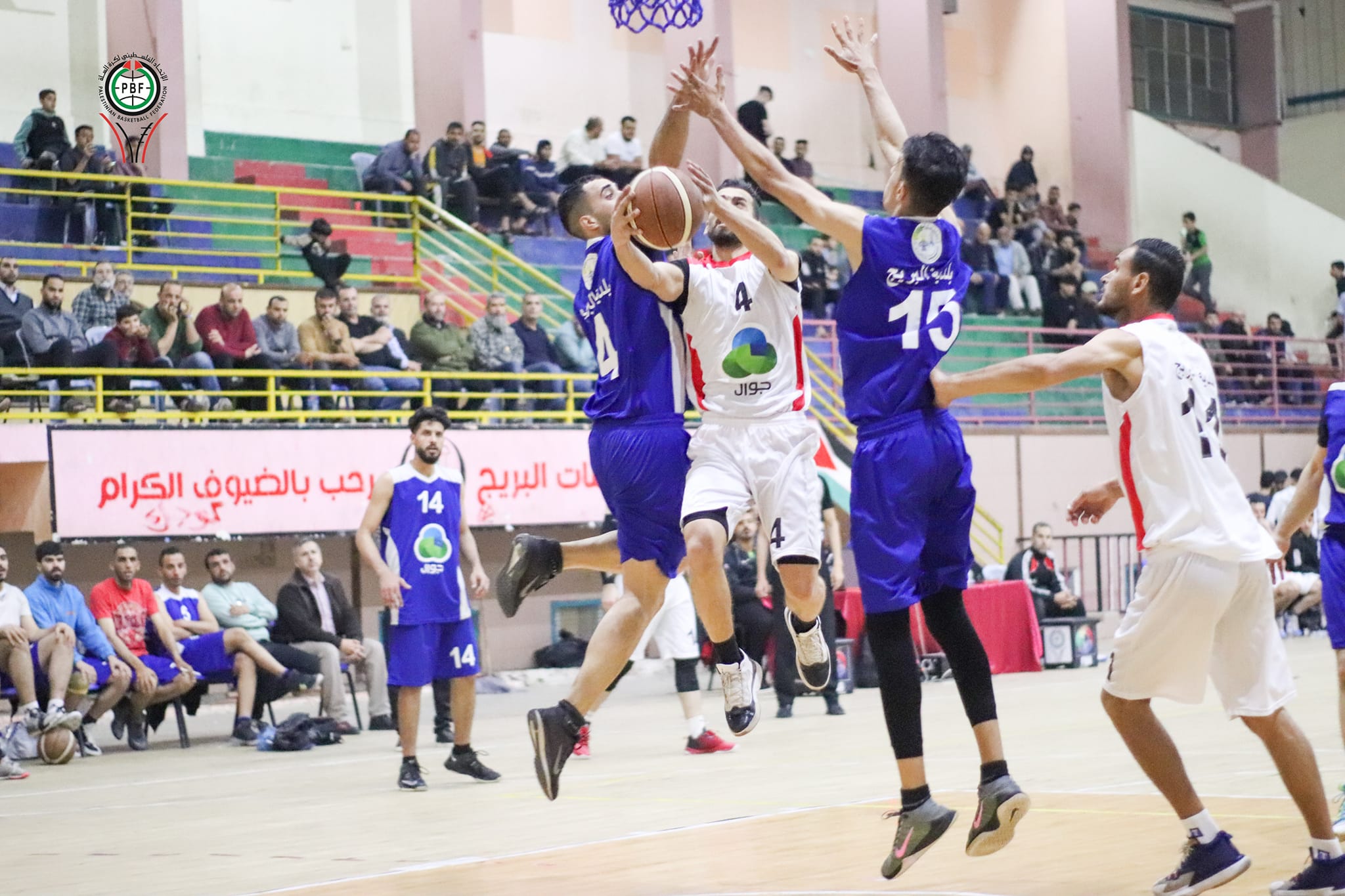علم 24